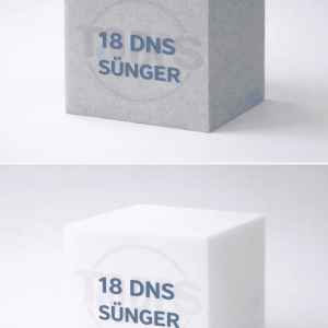 18dnssünger